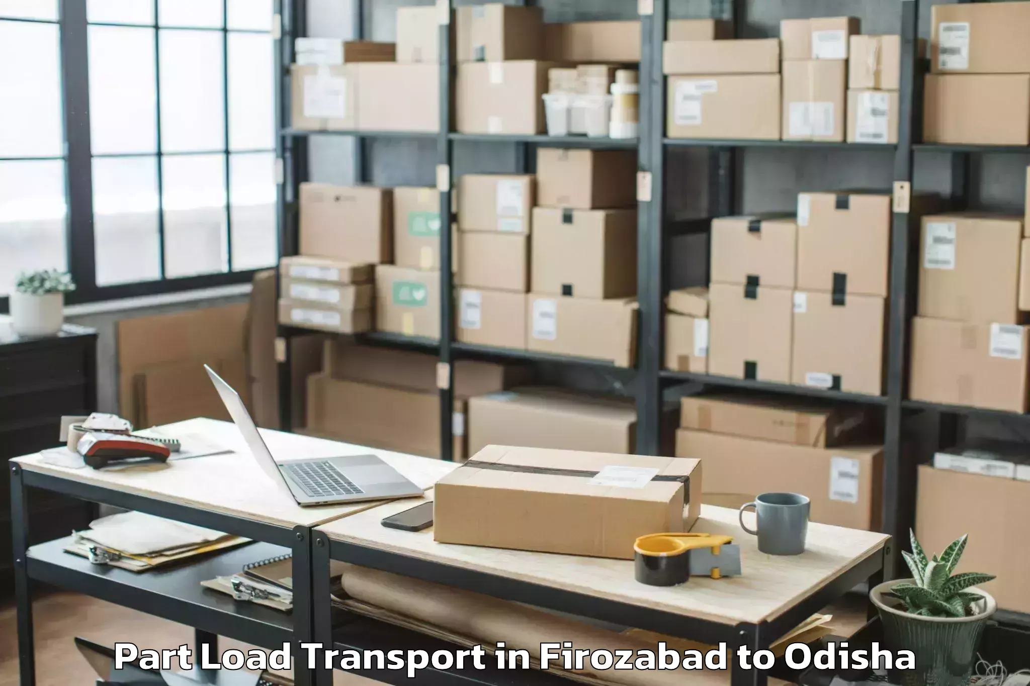 Professional Firozabad to Dhanupali Part Load Transport